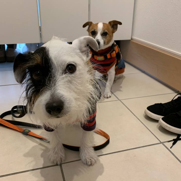 C5ae9b57 822d 48eb a8f3 7a5140cbf565 1575595713602