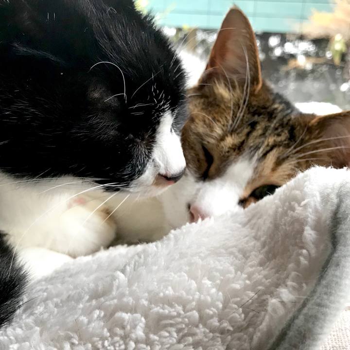 C5aec33a 4d27 47dc a3b2 586a0c92ca8f 1517120820645