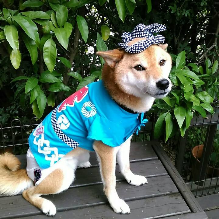 C5aed8ce 9527 4c8c 84fc 4973f5cfd04c 1563677284903