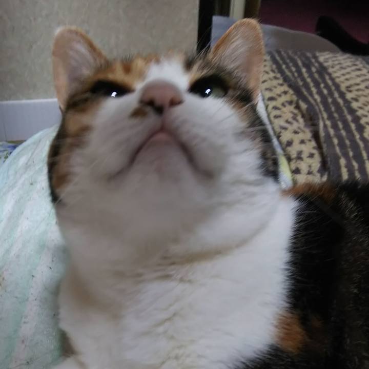 C5aeed11 da8a 4138 832c f811a5e7f7ec 1561761380799