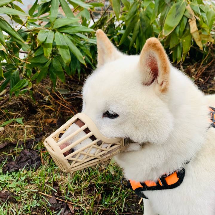 C5af0a32 0ea1 46f3 9ad9 ac040f8fb6bd 1649538762498