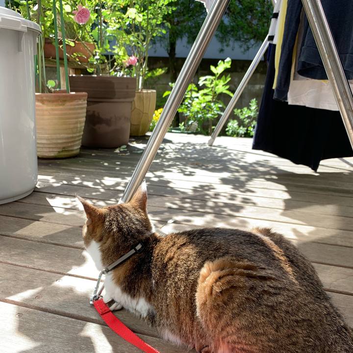 C5af171d f7fe 4824 8bcf 4e943ca30c74 1589847458195