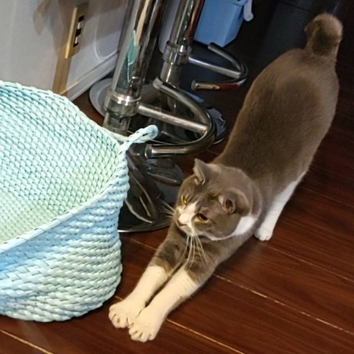 C5af217c c61f 4ad7 bdcb f4f4d8bdf953 1668030718142