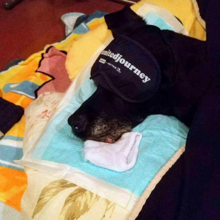 C5af4929 7a29 47a6 9495 dd89a969ff2f 1731319517526