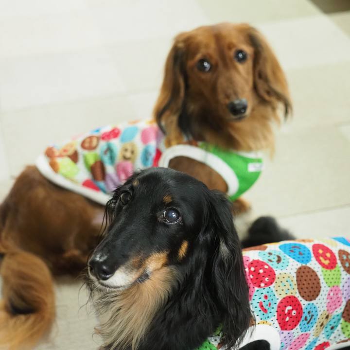 C5af56c6 645e 42ec b1d4 8bfe21205cf9 1751349858189