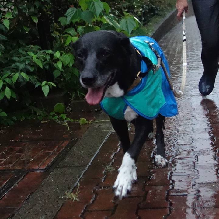 C5af8d7a 8275 4553 bd53 2a6aca6070d0 1694129485199