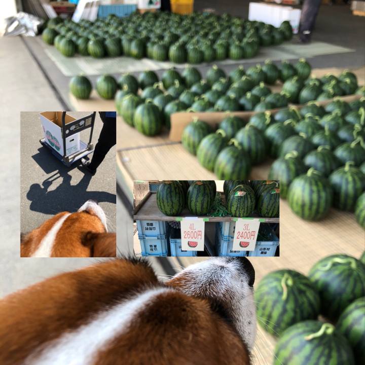 C5afa88d a616 4c86 997e 408789708c42 1596257086699