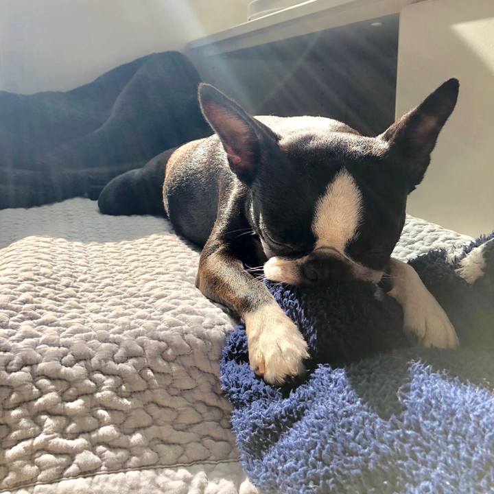 C5afaaf9 2843 4a10 a11f 8dd828733568 1529190580920