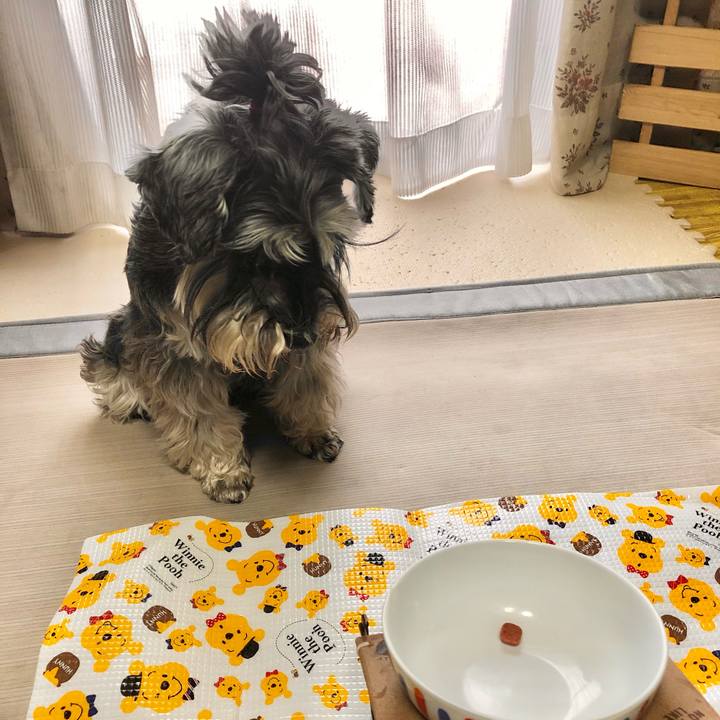 C5afb99f 296f 403b a72a fb997d14fbf4 1619344614195