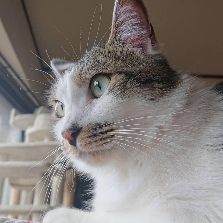 C5afc3c6 269b 4eb6 bd2d df07ba0b32d9 1618531557376