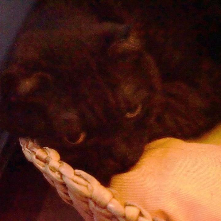 C5afdaea 92e8 4815 b3e2 4b7eacdb557d 1568023010850