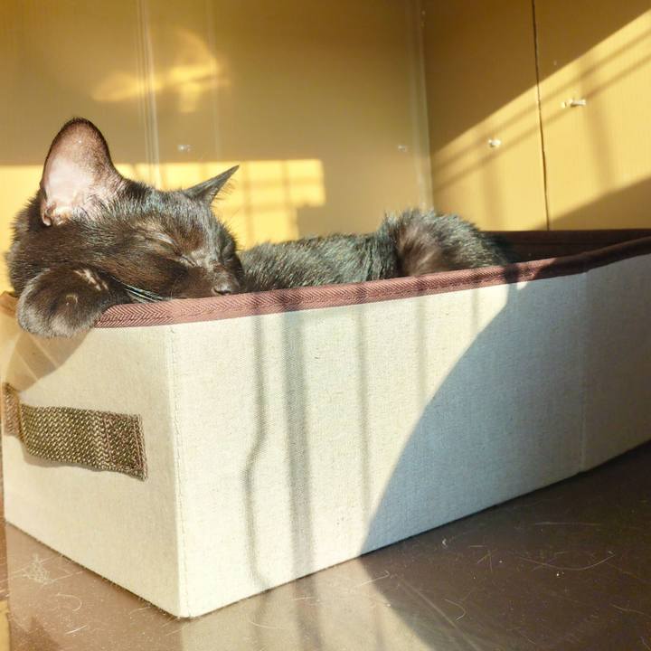 C5b0421a 9137 4777 8218 25d6f2e9f586 1664492280012