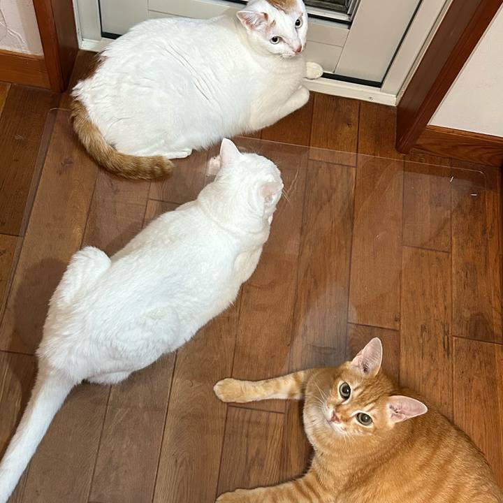 C5b05fe2 e863 491e 967f ff45af3c048a 1691496139521