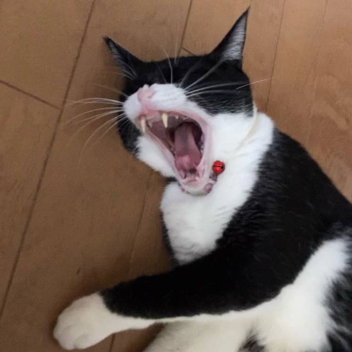 C5b0b0c8 a783 4bd7 84ae 7db7febbbb51 1648004076364