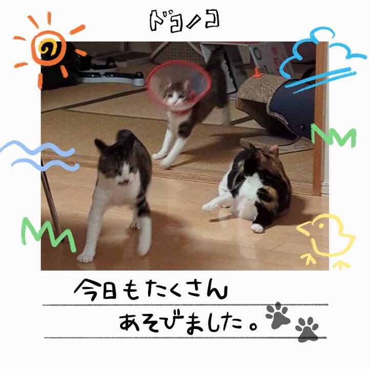 C5b0f476 5865 4f68 9adc a5266afb735d 1755166952732