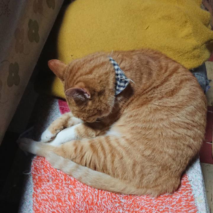 C5b10ebd 5e89 4db7 ad68 d5d797883b71 1572820836034