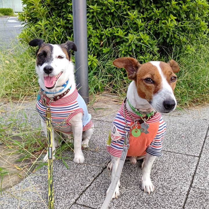 C5b143dc fa7c 4305 aff3 3300e5fe6870 1662500940171