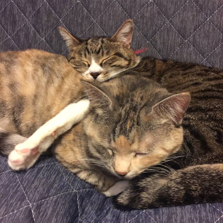 C5b17ae4 9ebb 4588 944d c612d9770639 1560256135144