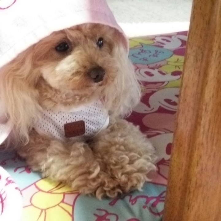 C5b19eea 5568 49bc b01e f1875327f669 1560577255466