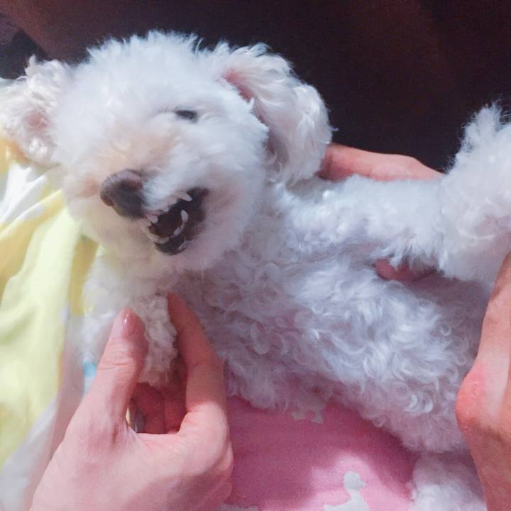 C5b1a638 8875 4785 9fcb cb1d270ff13c 1536152689368