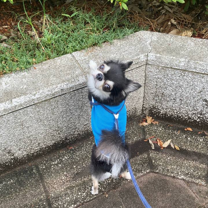 C5b1ac71 c186 4824 a927 80800e66b8c6 1691937018913