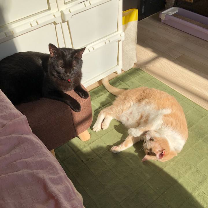 C5b1b34b f497 4009 a9ed 26479966fbb5 1621637188657