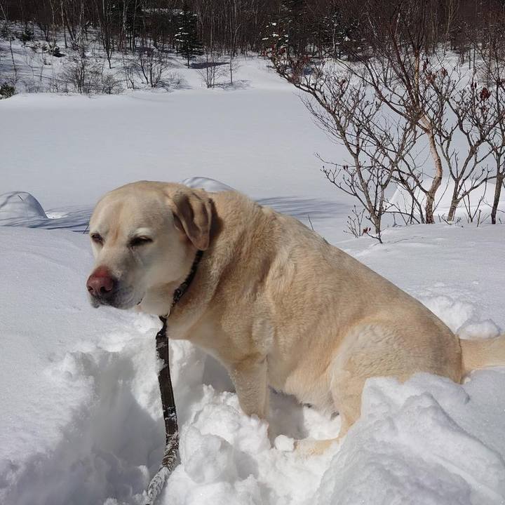 C5b1ce0e 59ab 4461 8167 0064d559cb00 1742444354085