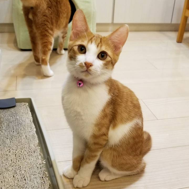 C5b1f8f8 c206 4b7f a3f7 826d0ca501b7 1507807967840