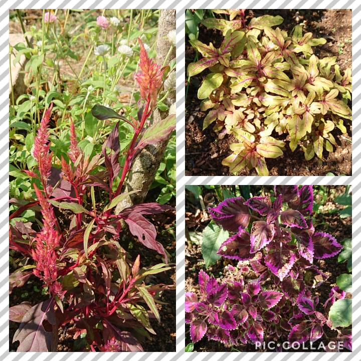 C5b21ffe 6179 44a0 b34b ee72c333c254 1598927204274