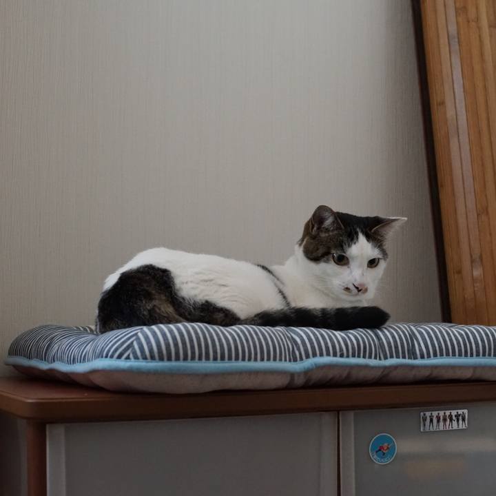 C5b23f7e 6ba6 40c8 88f6 d0e83e8d5dcc 1530488612032