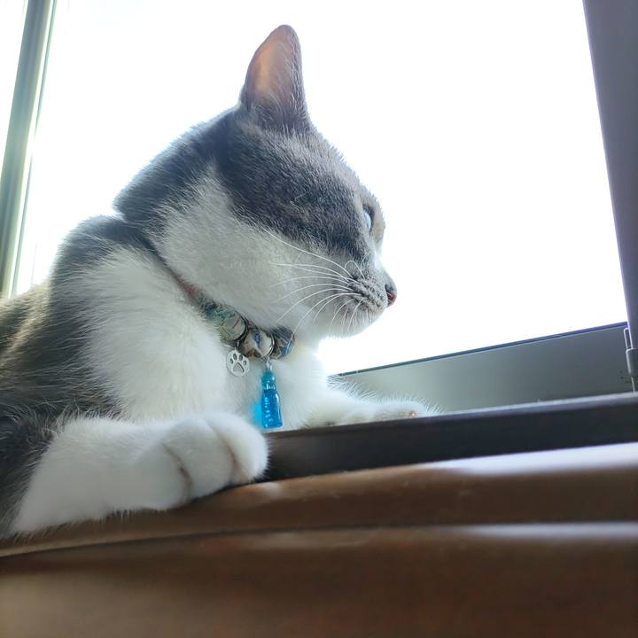 C5b23f97 f62e 4244 a737 5ea4d2ea400d 1721881919491