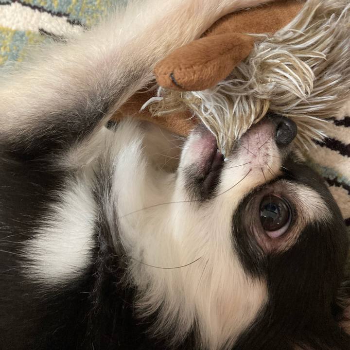 C5b241e0 fbd7 42ce 81bd 5961c1513de2 1628431107098