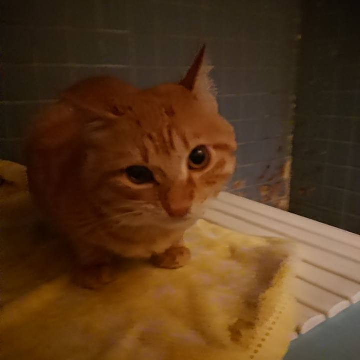 C5b24837 5928 4c6d 9edc d6b59c4073be 1639993597059