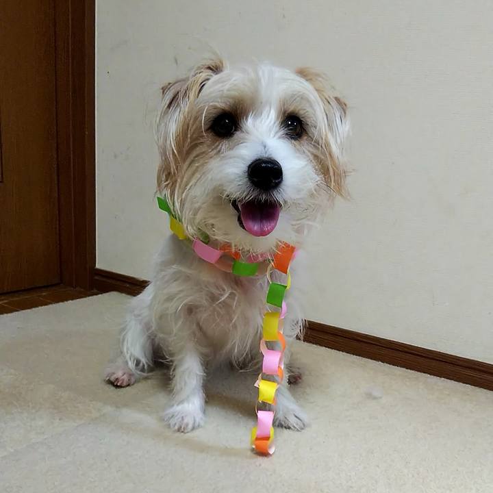 C5b2c4b2 652f 471a b1f5 2f21428d7174 1709160633716