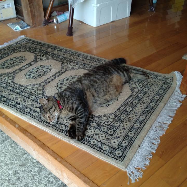 C5b2dd2a 942a 4fa8 8592 4569fda46a0a 1691204417341