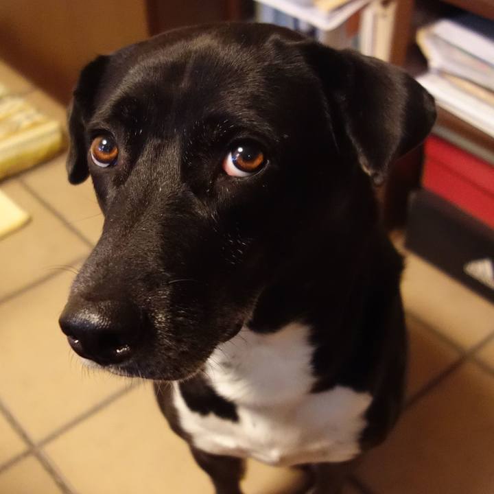 C5b300e2 dea9 47bf 947f a7140b7d3a69 1667782823252