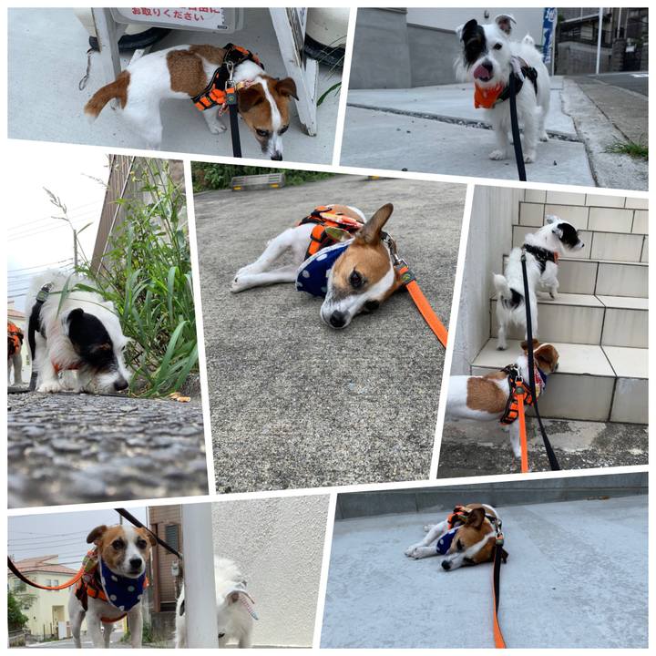 C5b30313 1d15 4608 85ca df1ff48a72aa 1566429555224