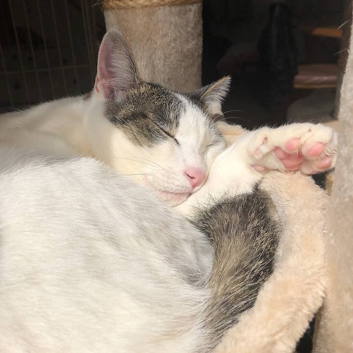 C5b30da8 b193 449d b458 0f77198797ac 1646624583262