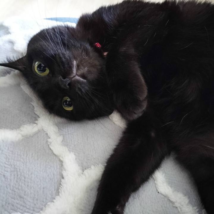 C5b3167d 8ca5 4ec4 90dd 34f8b92c4798 1700950668359