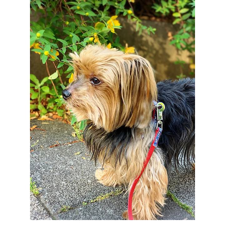 C5b321c5 eb0e 4d86 9ca2 13fedc4dfa02 1558828138265