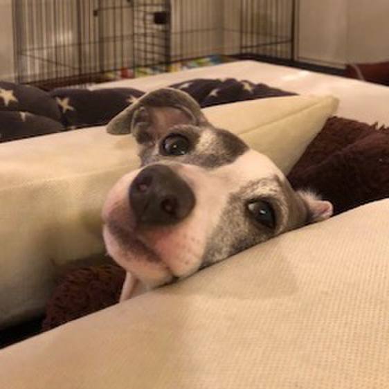 C5b3245b c0a3 4667 a86d f04487e1cccc 1549027721197