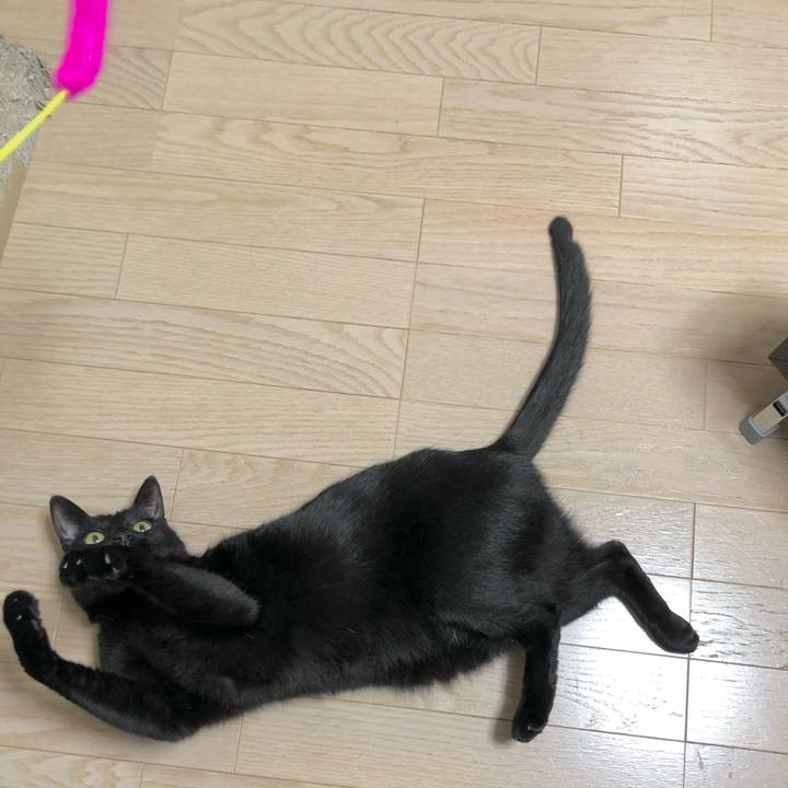 C5b3465a 1a2b 4038 8bca 8413cd5d2a7a 1637325982001