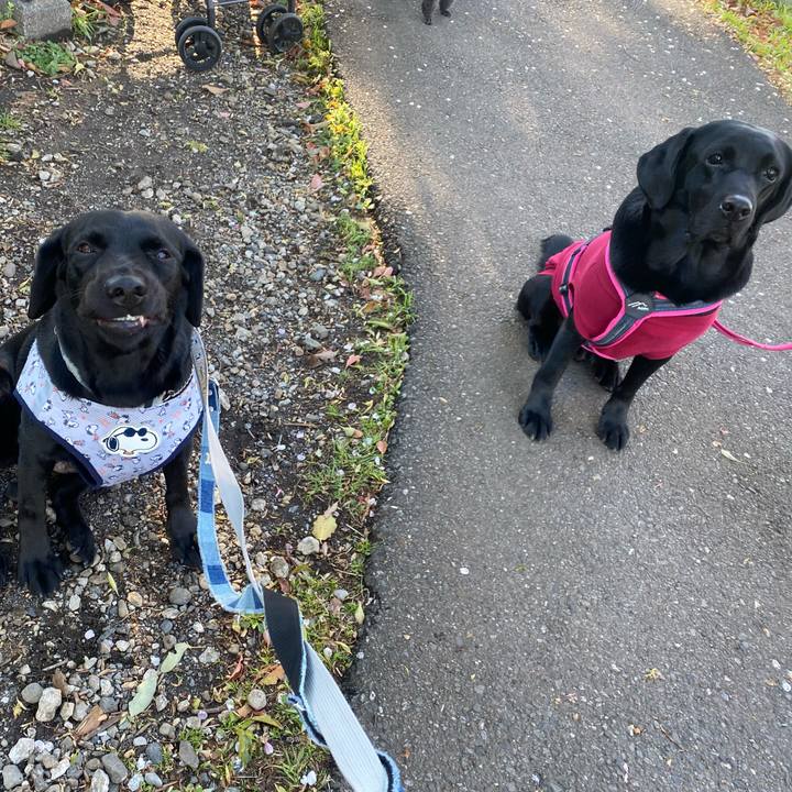 C5b3597d 8632 442d 98f1 a96e31d77335 1775301682388