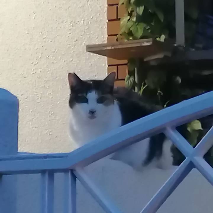 C5b36397 97b6 4a68 aa2c d4cbe3bdb68b 1630921569102