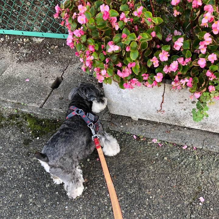 C5b39557 2e99 4e9f 8a98 237b5fef374a 1664714510246