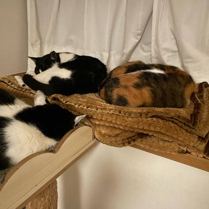 C5b3f0e9 f481 4e79 a84c 82bdeca996d7 1712750520831