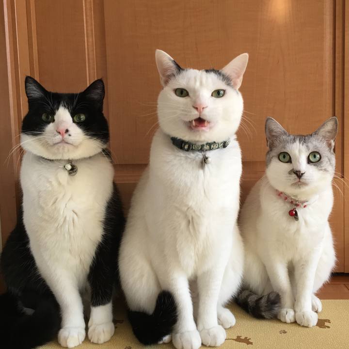 C5b42a04 e819 4410 9c5b ca0070d1c6bb 1512188103574