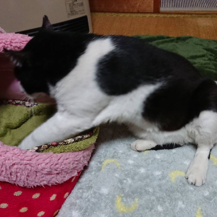 C5b42cec fe7a 4ca0 9b5d 84d2a3b7fac1 1544020128572