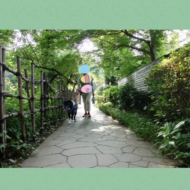 C5b446e3 c98d 43c3 9ea0 39e579a6e888 1752104962192