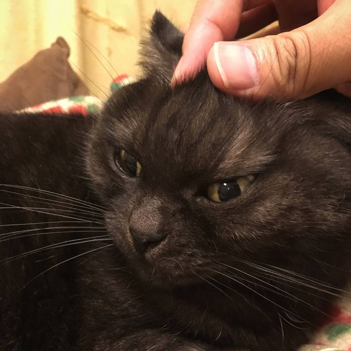 C5b45bc5 7c64 432f 998f 7bc8cbdf1e59 1542124492993